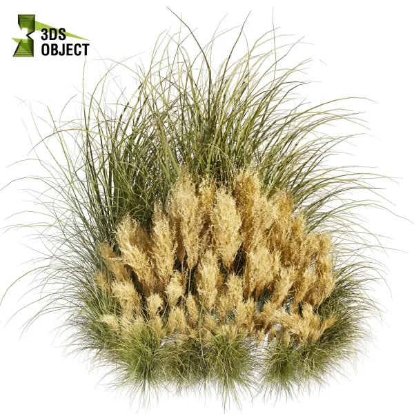 3d grass pampas autumnalis plant models botanical Visualization Landscape Foliage Vegetation buy purchase Rendering Environment tree Design high low poly switchgrass northwind 3D architectural visualization cinema 4d 3ds max blender enscpae fbx obj Rhino Sketchup lumion architectural outdoor street garden 3dart 3dmodeling