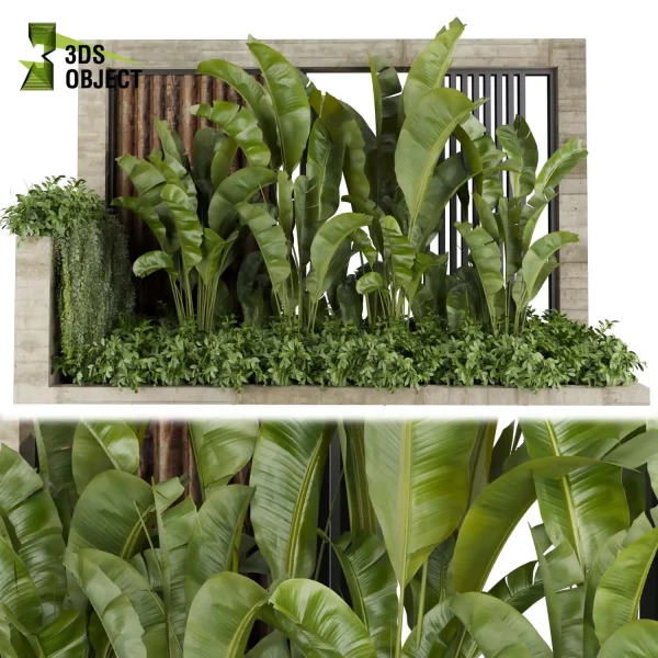3d garden plant models botanical Visualization Landscape Foliage Vegetation Rendering Environment tree Design high poly Bush banana ivy Virtual Garden Design Botanical Simulation Plant Visualization Vegetation Modeling