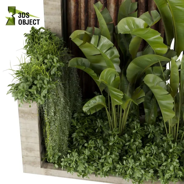 3d garden plant models botanical Visualization Landscape Foliage Vegetation Rendering Environment tree Design high poly Bush banana ivy Virtual Garden Design Botanical Simulation Plant Visualization Vegetation Modeling cinema 4d 3ds max blender enscpae fbx obj Rhino Sketchup lumion