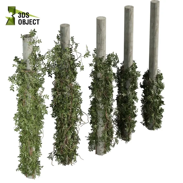 3d creeping ivy plant models botanical Visualization Landscape Foliage Vegetation buy purchase Rendering Environment tree Design high low poly column vegetation modeling tool botanical architecture simulator cinema 4d 3ds max blender enscpae fbx obj Rhino Sketchup lumion