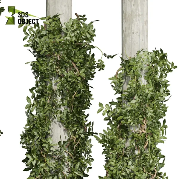 3d creeping ivy plant models botanical Visualization Landscape Foliage Vegetation buy purchase Rendering Environment tree Design high low poly column vegetation modeling tool botanical architecture simulator cinema 4d 3ds max blender enscpae fbx obj Rhino Sketchup lumion