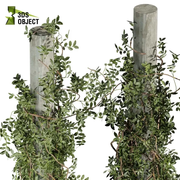 3d creeping ivy plant models botanical Visualization Landscape Foliage Vegetation buy purchase Rendering Environment tree Design high low poly column vegetation modeling tool botanical architecture simulator cinema 4d 3ds max blender enscpae fbx obj Rhino Sketchup lumion
