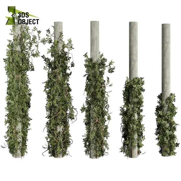 3d creeping ivy plant models botanical Visualization Landscape Foliage Vegetation buy purchase Rendering Environment tree Design high low poly column vegetation modeling tool botanical architecture simulator cinema 4d 3ds max blender enscpae fbx obj Rhino Sketchup lumion