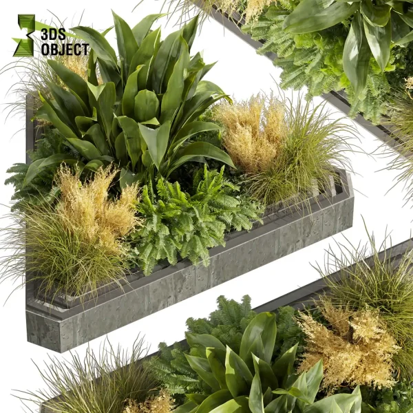 3d garden plant models botanical Visualization Landscape Foliage Vegetation Rendering Environment tree Design high poly Banana grass fern pampas 3D Tree Generator Landscape Design Software Foliage Rendering Digital Landscaping cinema 4d 3ds max blender enscpae fbx obj Rhino Sketchup lumion