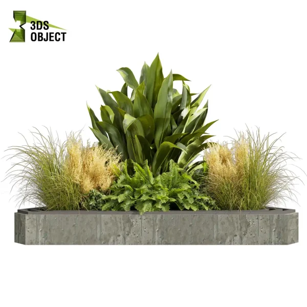 3d garden plant models botanical Visualization Landscape Foliage Vegetation Rendering Environment tree Design high poly Banana grass fern pampas 3D Tree Generator Landscape Design Software Foliage Rendering Digital Landscaping cinema 4d 3ds max blender enscpae fbx obj Rhino Sketchup lumion