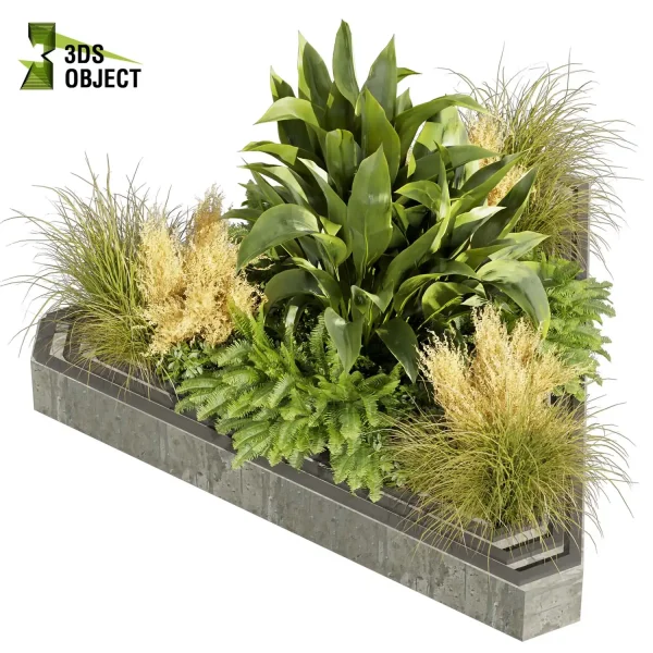 3d garden plant models botanical Visualization Landscape Foliage Vegetation Rendering Environment tree Design high poly Banana grass fern pampas 3D Tree Generator Landscape Design Software Foliage Rendering Digital Landscaping cinema 4d 3ds max blender enscpae fbx obj Rhino Sketchup lumion