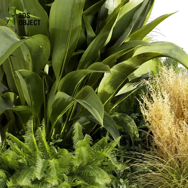 3d garden plant models botanical Visualization Landscape Foliage Vegetation Rendering Environment tree Design high poly Banana grass fern pampas 3D Tree Generator Landscape Design Software Foliage Rendering Digital Landscaping cinema 4d 3ds max blender enscpae fbx obj Rhino Sketchup lumion