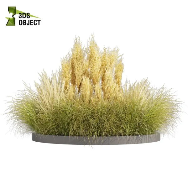 3d grass pampas autumnalis plant models botanical Visualization Landscape Foliage Vegetation buy purchase Rendering Environment tree Design high low poly switchgrass northwind 3D architectural visualization cinema 4d 3ds max blender enscpae fbx obj Rhino Sketchup lumion architectural outdoor street garden 3dart 3dmodeling Grass Creation