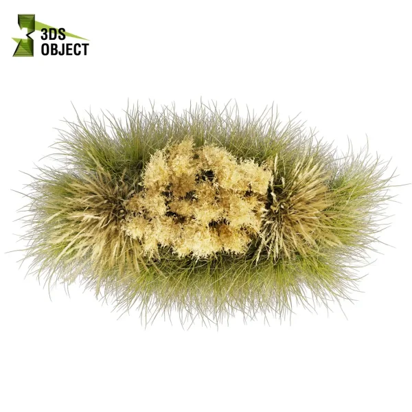 3d grass pampas autumnalis plant models botanical Visualization Landscape Foliage Vegetation buy purchase Rendering Environment tree Design high low poly switchgrass northwind 3D architectural visualization cinema 4d 3ds max blender enscpae fbx obj Rhino Sketchup lumion architectural outdoor street garden 3dart 3dmodeling Grass Creation