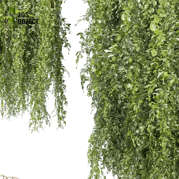 3d creeping ivy plant models botanical Visualization Landscape Foliage Vegetation buy purchase Rendering Environment tree Design high low poly column vegetation modeling tool botanical architecture simulator cinema 4d 3ds max blender enscpae fbx obj Rhino Sketchup lumion 3dvisualization