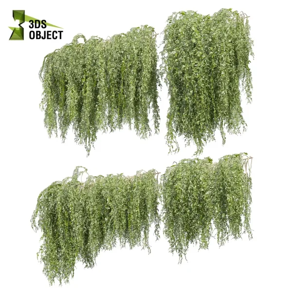 3d creeping ivy plant models botanical Visualization Landscape Foliage Vegetation buy purchase Rendering Environment tree Design high low poly column vegetation modeling tool botanical architecture simulator cinema 4d 3ds max blender enscpae fbx obj Rhino Sketchup lumion 3dvisualization