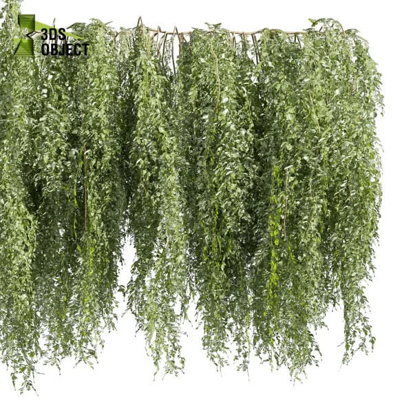 3d creeping ivy plant models botanical Visualization Landscape Foliage Vegetation buy purchase Rendering Environment tree Design high low poly column vegetation modeling tool botanical architecture simulator cinema 4d 3ds max blender enscpae fbx obj Rhino Sketchup lumion 3dvisualization