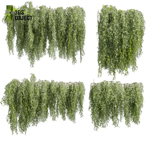 3d creeping ivy plant models botanical Visualization Landscape Foliage Vegetation buy purchase Rendering Environment tree Design high low poly column vegetation modeling tool botanical architecture simulator cinema 4d 3ds max blender enscpae fbx obj Rhino Sketchup lumion 3dvisualization