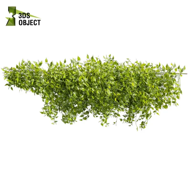 3d creeping ivy plant models botanical Visualization Landscape Foliage Vegetation buy purchase Rendering Environment tree Design high low poly cinema 4d 3ds max blender enscpae fbx obj Rhino Sketchup lumion vegetation modeling tool botanical architecture simulator Devil's ivy