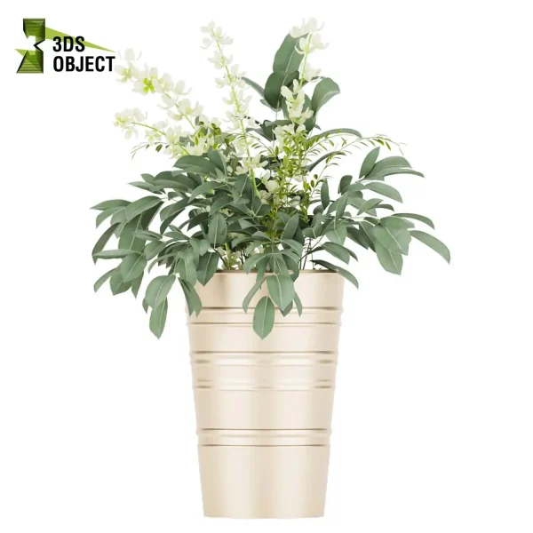 3d bouquet flower grass pampas plant models botanical Visualization Landscape Foliage Vegetation buy purchase Rendering Environment tree Design dried flower high low poly rose white yellow decorative houseplant flowerpot cinema 4d 3ds max blender enscpae fbx obj Rhino Sketchup lumion