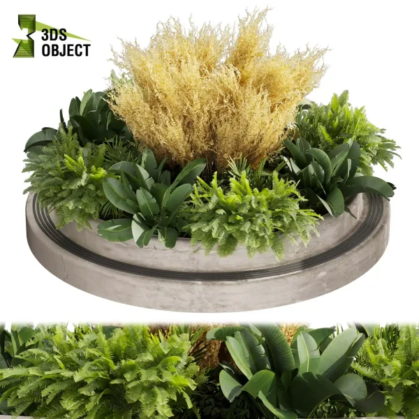 3d garden plant models botanical Visualization Landscape Foliage Vegetation Rendering Environment tree Design high poly Banana fern pampas 3D Garden Design Forest Simulation 3D Tree Generator Landscape Design Software cinema 4d 3ds max blender enscpae fbx obj Rhino Sketchup lumion garden purchase