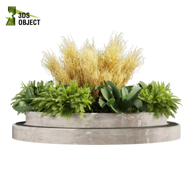 3d garden plant models botanical Visualization Landscape Foliage Vegetation Rendering Environment tree Design high poly Banana fern pampas 3D Garden Design Forest Simulation 3D Tree Generator Landscape Design Software cinema 4d 3ds max blender enscpae fbx obj Rhino Sketchup lumion garden purchase