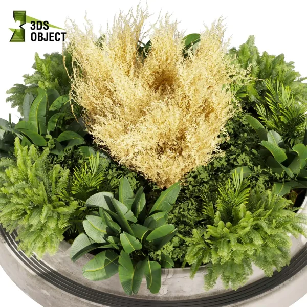 3d garden plant models botanical Visualization Landscape Foliage Vegetation Rendering Environment tree Design high poly Banana fern pampas 3D Garden Design Forest Simulation 3D Tree Generator Landscape Design Software cinema 4d 3ds max blender enscpae fbx obj Rhino Sketchup lumion garden purchase
