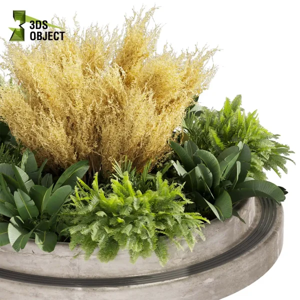 3d garden plant models botanical Visualization Landscape Foliage Vegetation Rendering Environment tree Design high poly Banana fern pampas 3D Garden Design Forest Simulation 3D Tree Generator Landscape Design Software cinema 4d 3ds max blender enscpae fbx obj Rhino Sketchup lumion garden purchase