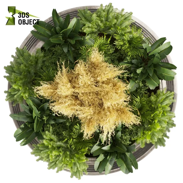 3d garden plant models botanical Visualization Landscape Foliage Vegetation Rendering Environment tree Design high poly Banana fern pampas 3D Garden Design Forest Simulation 3D Tree Generator Landscape Design Software cinema 4d 3ds max blender enscpae fbx obj Rhino Sketchup lumion garden purchase