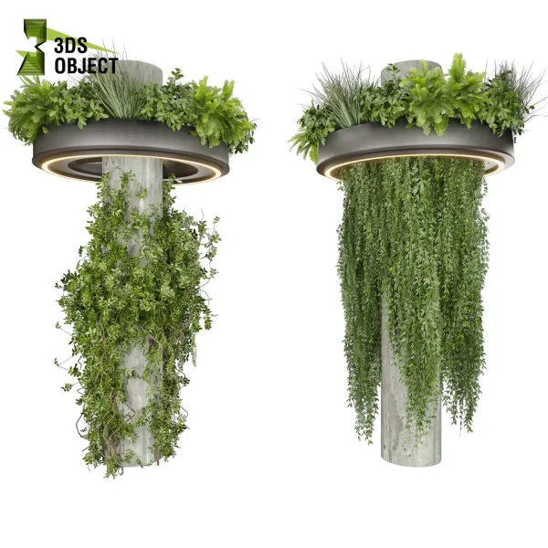 3d creeping ivy plant models botanical Visualization Landscape Foliage Vegetation buy purchase Rendering Environment tree Design high low poly column vegetation modeling tool botanical architecture simulator 3D architectural visualization 3Dmodeling