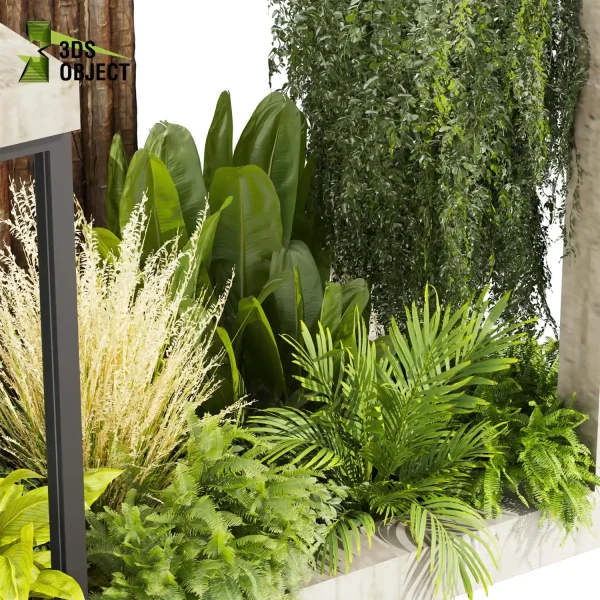 3d garden plant models botanical Visualization Landscape Foliage Vegetation Rendering Environment tree Design high poly Bush banana ivy fern pampas palm 3D Plant Creation Virtual Garden Design Botanical Simulation Plant Visualization Vegetation Modeling cinema 4d 3ds max blender enscpae fbx obj Rhino Sketchup lumion