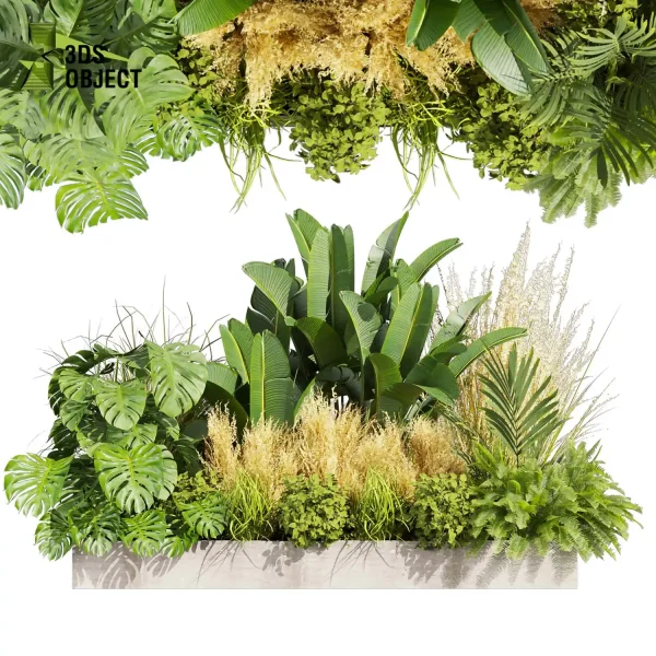 3d garden plant models botanical Visualization Landscape Foliage Vegetation Rendering Environment tree Design high poly Bush banana monstera fern pampas palm planter pot greenhouse Botanical Simulation Plant Visualization Vegetation Modeling cinema 4d 3ds max blender enscpae fbx obj Rhino Sketchup lumion