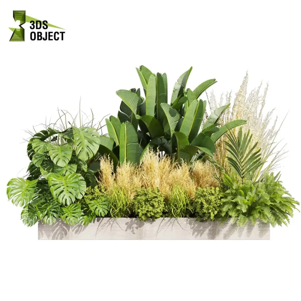3d garden plant models botanical Visualization Landscape Foliage Vegetation Rendering Environment tree Design high poly Bush banana monstera fern pampas palm planter pot greenhouse Botanical Simulation Plant Visualization Vegetation Modeling cinema 4d 3ds max blender enscpae fbx obj Rhino Sketchup lumion
