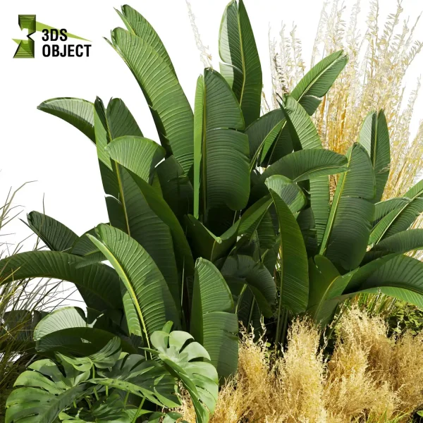 3d garden plant models botanical Visualization Landscape Foliage Vegetation Rendering Environment tree Design high poly Bush banana monstera fern pampas palm planter pot greenhouse Botanical Simulation Plant Visualization Vegetation Modeling cinema 4d 3ds max blender enscpae fbx obj Rhino Sketchup lumion