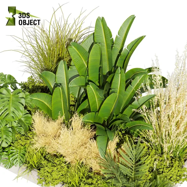 3d garden plant models botanical Visualization Landscape Foliage Vegetation Rendering Environment tree Design high poly Bush banana monstera fern pampas palm planter pot greenhouse Botanical Simulation Plant Visualization Vegetation Modeling cinema 4d 3ds max blender enscpae fbx obj Rhino Sketchup lumion