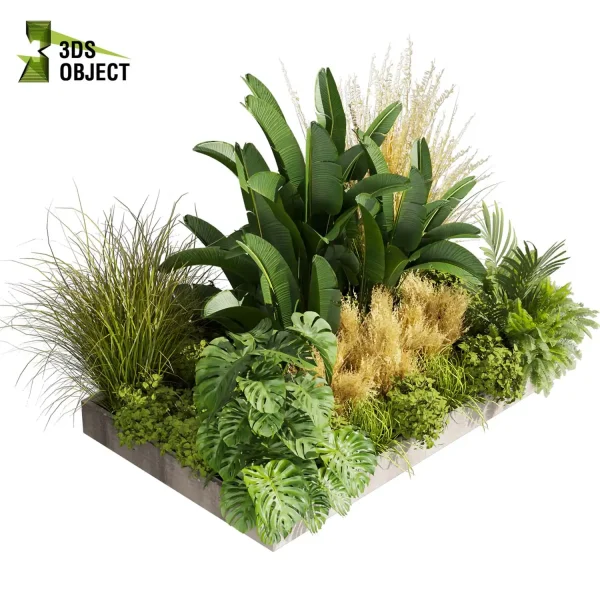 3d garden plant models botanical Visualization Landscape Foliage Vegetation Rendering Environment tree Design high poly Bush banana monstera fern pampas palm planter pot greenhouse Botanical Simulation Plant Visualization Vegetation Modeling cinema 4d 3ds max blender enscpae fbx obj Rhino Sketchup lumion