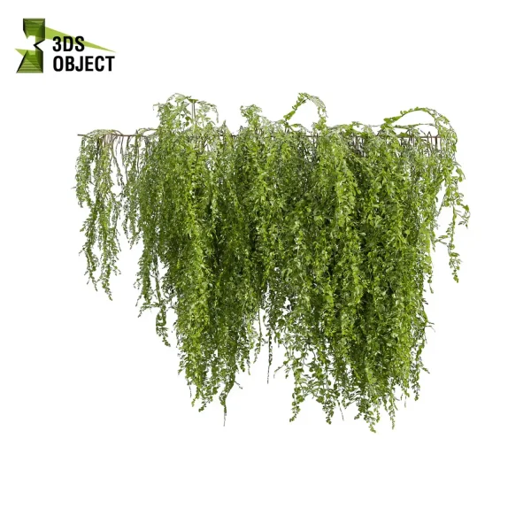 3d creeping ivy plant models botanical Visualization Landscape Foliage Vegetation buy purchase Rendering Environment tree Design high low poly architectural3D simulator virtualdesign architecturevisualization 3Dmodeling cinema 4d 3ds max blender enscpae fbx obj Rhino Sketchup lumion architectural