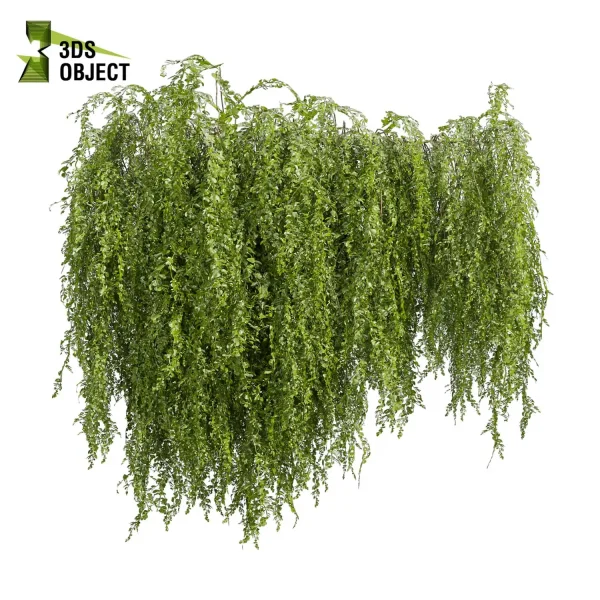 3d creeping ivy plant models botanical Visualization Landscape Foliage Vegetation buy purchase Rendering Environment tree Design high low poly architectural3D simulator virtualdesign architecturevisualization 3Dmodeling cinema 4d 3ds max blender enscpae fbx obj Rhino Sketchup lumion architectural