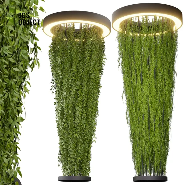 3d creeping ivy plant models botanical Visualization Landscape Foliage Vegetation buy purchase Rendering Environment tree Design high low poly chandelier column planter pot greenhouse Virtual Ivy Creation Ivy Design Software