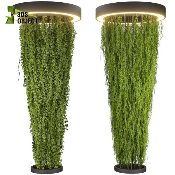 3d creeping ivy plant models botanical Visualization Landscape Foliage Vegetation buy purchase Rendering Environment tree Design high low poly chandelier column planter pot greenhouse Virtual Ivy Creation Ivy Design Software