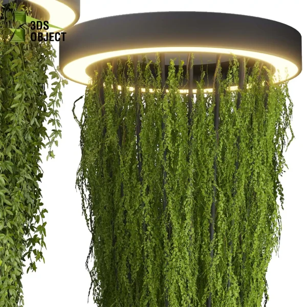3d creeping ivy plant models botanical Visualization Landscape Foliage Vegetation buy purchase Rendering Environment tree Design high low poly chandelier column planter pot greenhouse Virtual Ivy Creation Ivy Design Software