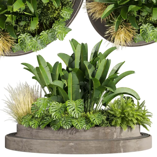 3d garden plant models botanical Visualization Landscape Foliage Vegetation Rendering Environment tree Design high poly Bush banana monstera fern pampas palm Virtual Garden Design Botanical Simulation Plant Visualization Vegetation Modeling 3D architectural visualization cinema 4d 3ds max blender enscpae fbx obj Rhino Sketchup lumion