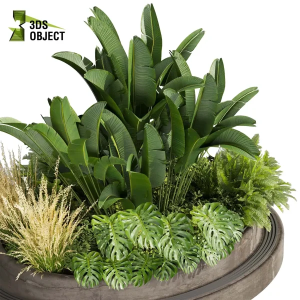 3d garden plant models botanical Visualization Landscape Foliage Vegetation Rendering Environment tree Design high poly Bush banana monstera fern pampas palm Virtual Garden Design Botanical Simulation Plant Visualization Vegetation Modeling 3D architectural visualization cinema 4d 3ds max blender enscpae fbx obj Rhino Sketchup lumion