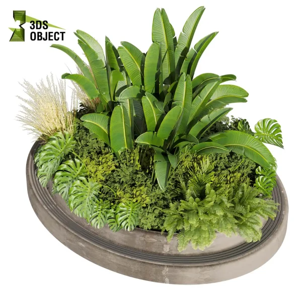 3d garden plant models botanical Visualization Landscape Foliage Vegetation Rendering Environment tree Design high poly Bush banana monstera fern pampas palm Virtual Garden Design Botanical Simulation Plant Visualization Vegetation Modeling 3D architectural visualization cinema 4d 3ds max blender enscpae fbx obj Rhino Sketchup lumion