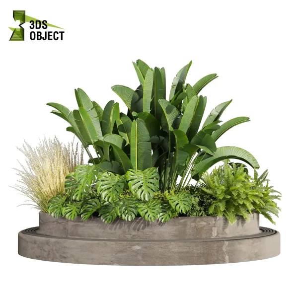 3d garden plant models botanical Visualization Landscape Foliage Vegetation Rendering Environment tree Design high poly Bush banana monstera fern pampas palm Virtual Garden Design Botanical Simulation Plant Visualization Vegetation Modeling 3D architectural visualization cinema 4d 3ds max blender enscpae fbx obj Rhino Sketchup lumion