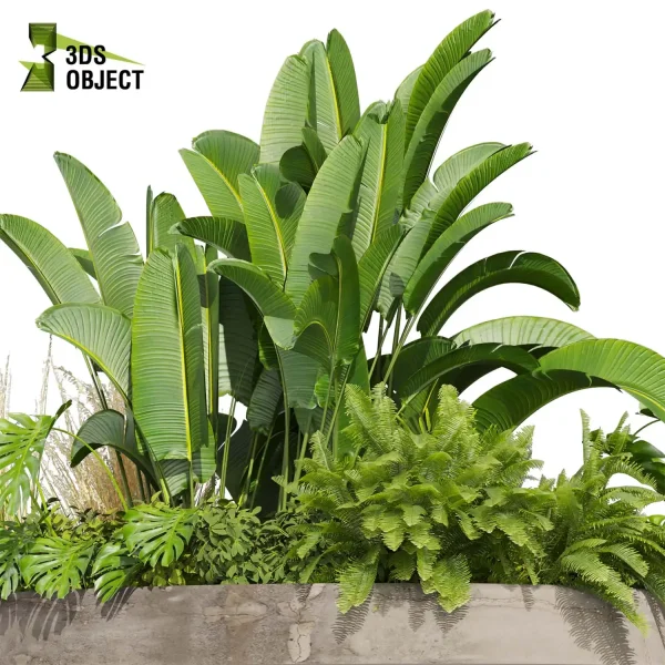 3d garden plant models botanical Visualization Landscape Foliage Vegetation Rendering Environment tree Design high poly Bush banana monstera fern pampas palm Virtual Garden Design Botanical Simulation Plant Visualization Vegetation Modeling 3D architectural visualization cinema 4d 3ds max blender enscpae fbx obj Rhino Sketchup lumion