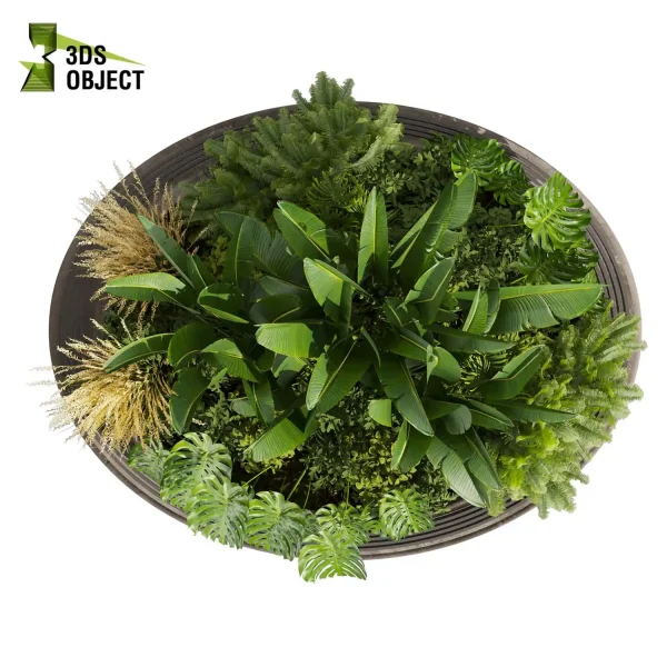 3d garden plant models botanical Visualization Landscape Foliage Vegetation Rendering Environment tree Design high poly Bush banana monstera fern pampas palm Virtual Garden Design Botanical Simulation Plant Visualization Vegetation Modeling 3D architectural visualization cinema 4d 3ds max blender enscpae fbx obj Rhino Sketchup lumion