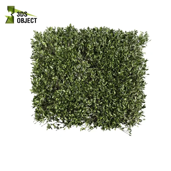 3d bush plant models botanical Visualization Landscape Foliage Vegetation buy purchase Rendering Environment tree Design high low poly laurus nobilis 3D architectural visualization cinema 4d 3ds max blender enscpae fbx obj Rhino Sketchup lumion