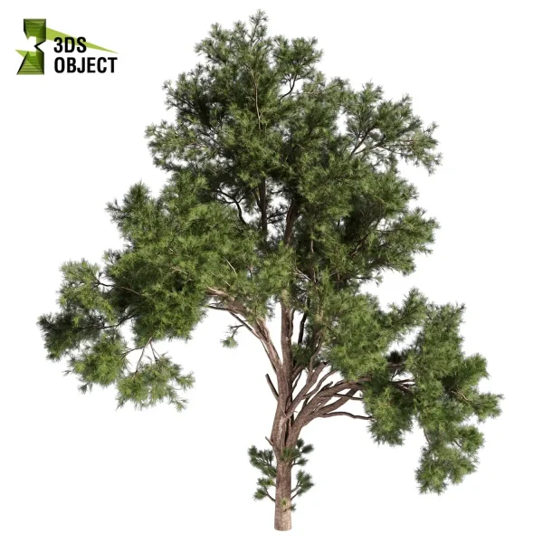 3d bouquet tree plant models botanical Visualization Landscape Foliage Vegetation buy purchase Rendering Environment tree Design dried flower high low poly cinema 4d 3ds max blender enscpae fbx obj Rhino Sketchup lumion pine