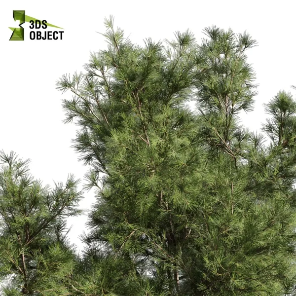 3d bouquet tree plant models botanical Visualization Landscape Foliage Vegetation buy purchase Rendering Environment tree Design dried flower high low poly cinema 4d 3ds max blender enscpae fbx obj Rhino Sketchup lumion pine