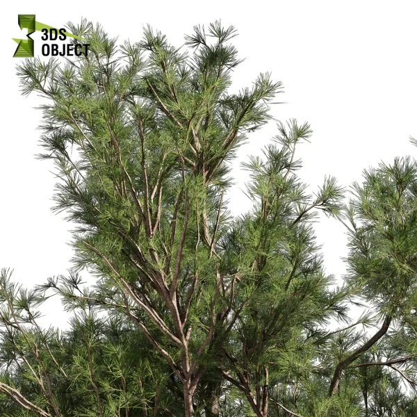 3d bouquet tree plant models botanical Visualization Landscape Foliage Vegetation buy purchase Rendering Environment tree Design dried flower high low poly cinema 4d 3ds max blender enscpae fbx obj Rhino Sketchup lumion pine