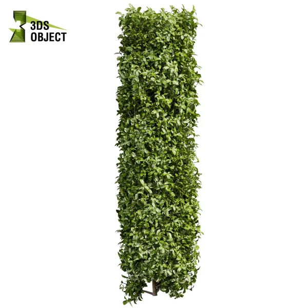 3d bush plant models botanical Visualization Landscape Foliage Vegetation buy purchase Rendering Environment tree Design high low poly Cylinder ivy laurus nobilis greenhouse balcony decorative hamedorea 3D architectural visualization cinema 4d 3ds max blender enscpae fbx obj Rhino Sketchup lumion