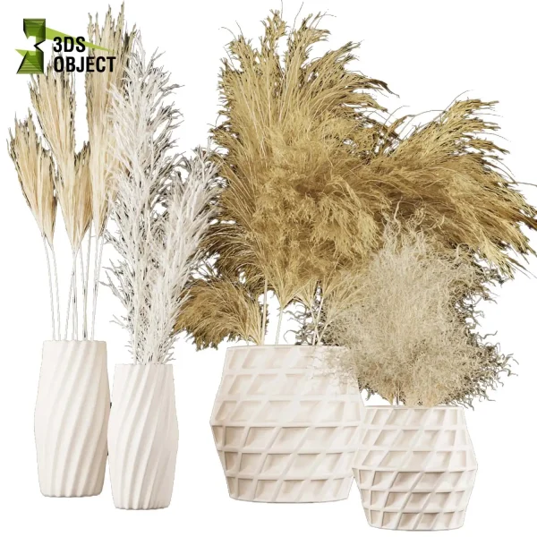 3d bouquet flower grass pampas plant models botanical Visualization Landscape Foliage Vegetation buy purchase Rendering Environment tree Design dried flower high low poly houseplant flowerpot simulator virtualdesign