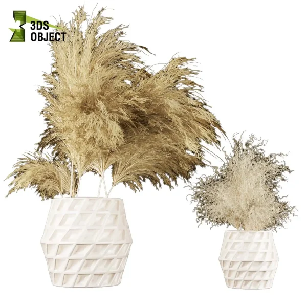 3d bouquet flower grass pampas plant models botanical Visualization Landscape Foliage Vegetation buy purchase Rendering Environment tree Design dried flower high low poly houseplant flowerpot simulator virtualdesign