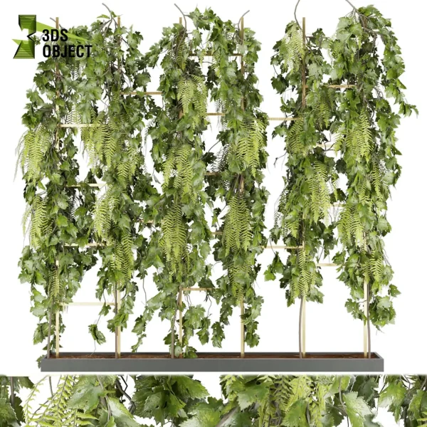 3d creeping ivy plant models botanical Visualization Landscape Foliage Vegetation Rendering Environment tree Design high low poly pothos cinema 4d 3ds max blender enscpae fbx obj Rhino Sketchup lumion Landscape Vegetation 3D Plant Library Plant Generator Vegetation Rendering Forest Simulation 3D Tree Generator Landscape Design Software